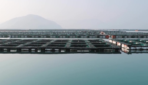 南藝UPVC管材在海水漁業領域應用 南藝UPVC管材在海水漁業領域應用